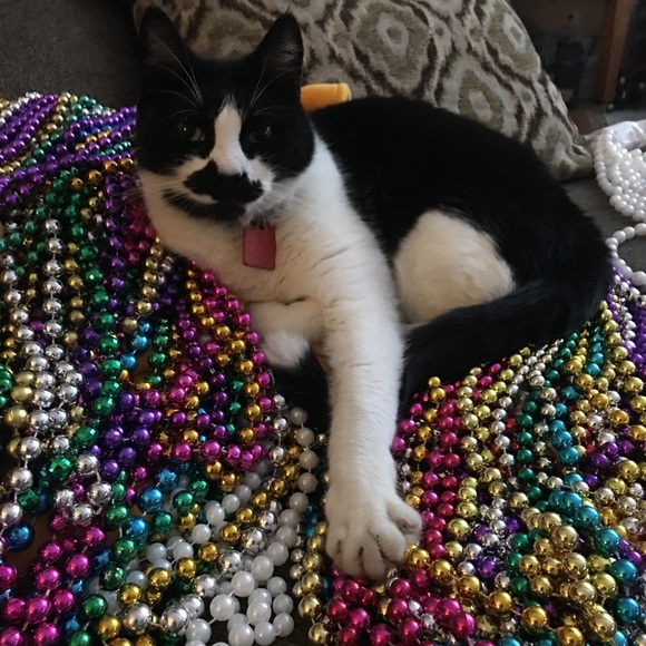 Meet your Posher, Bethany - Picture 4 of 9